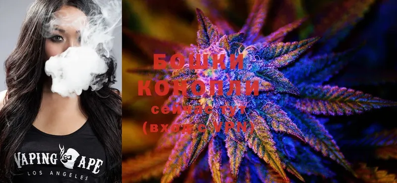 Бошки марихуана SATIVA & INDICA  Нестеров 